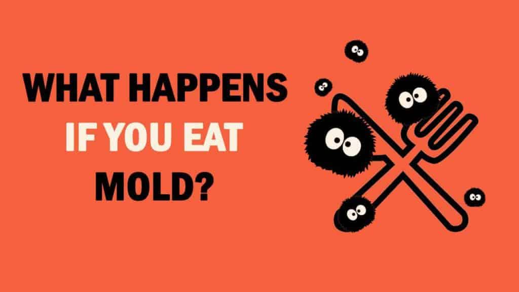 What happens if you eat mold
