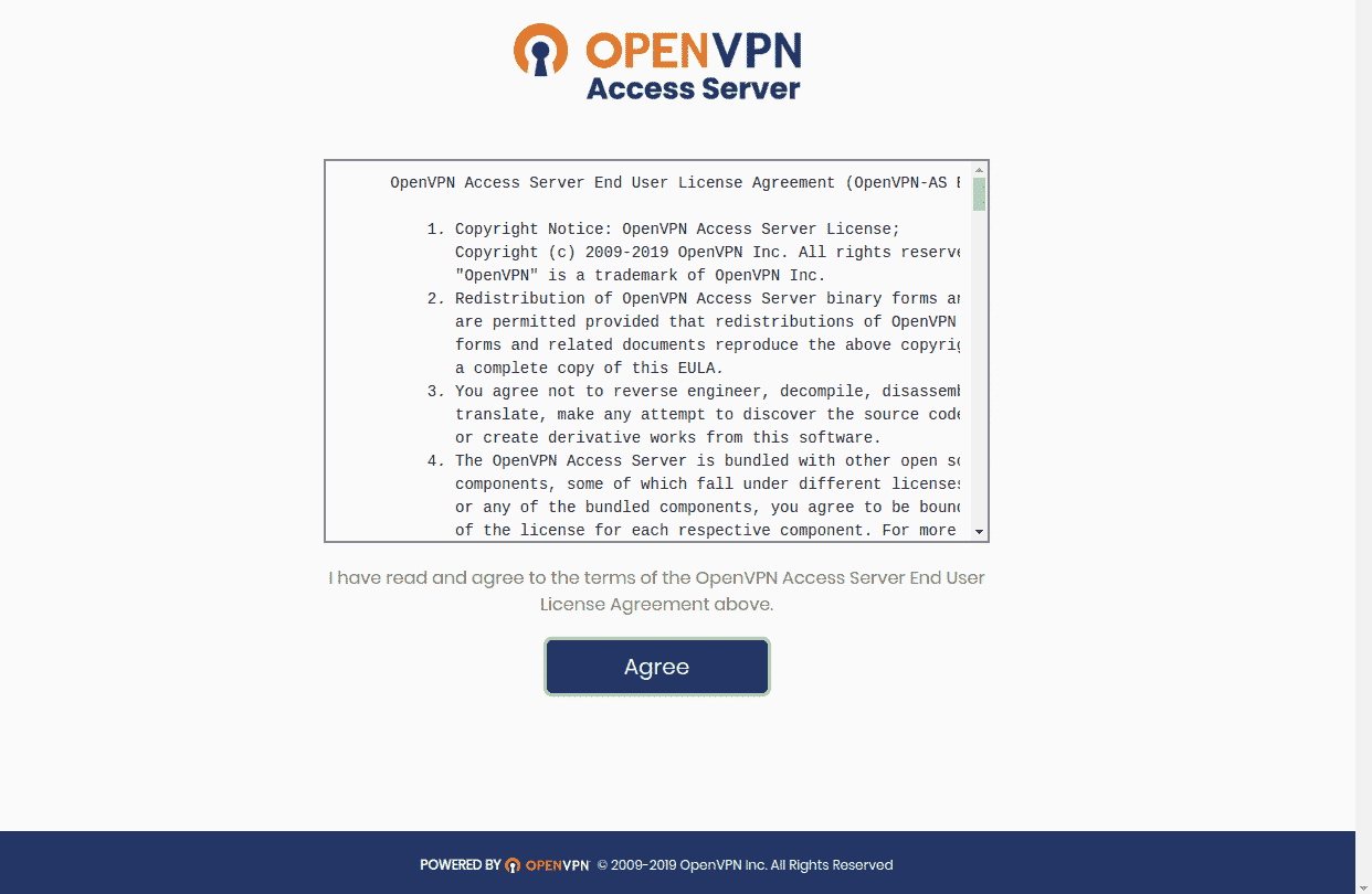 openvpn terms