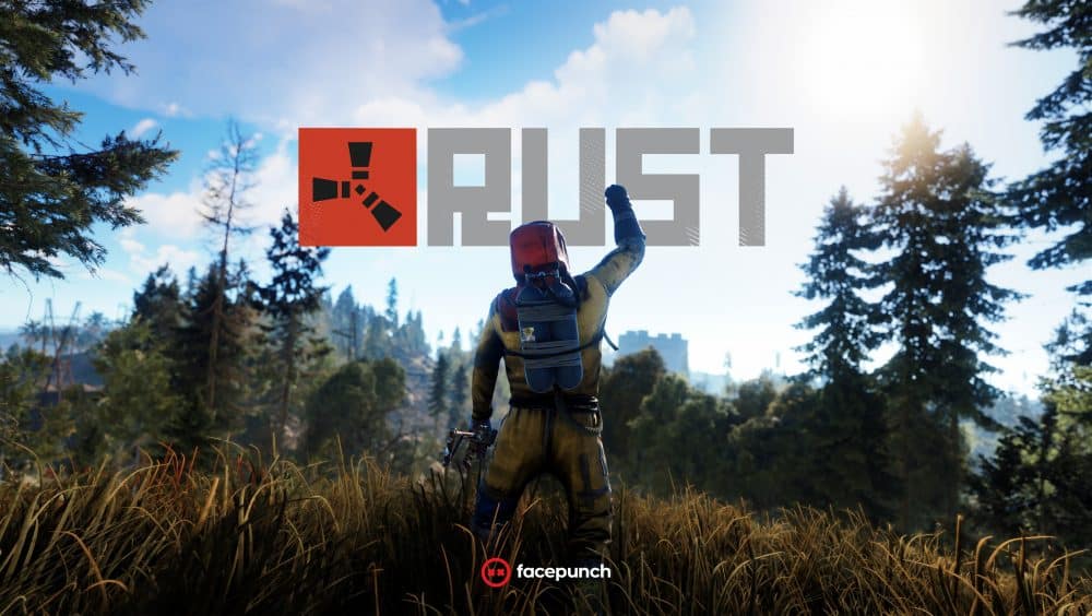 Own rust server