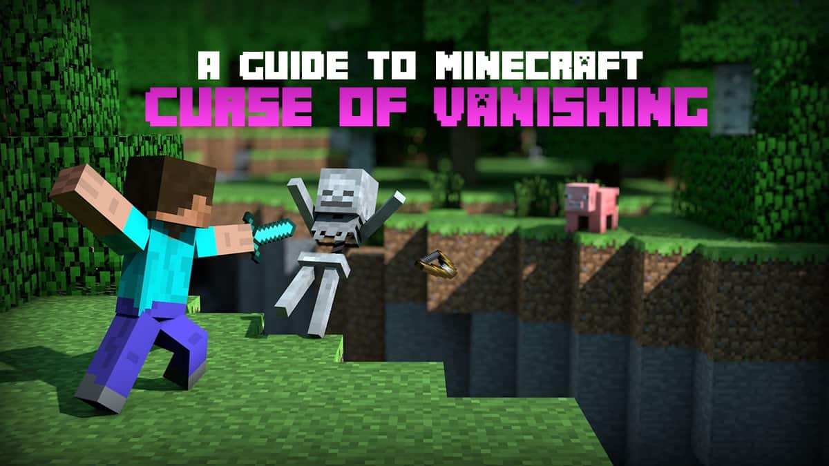 Minecraft Curse of Vanishing Details