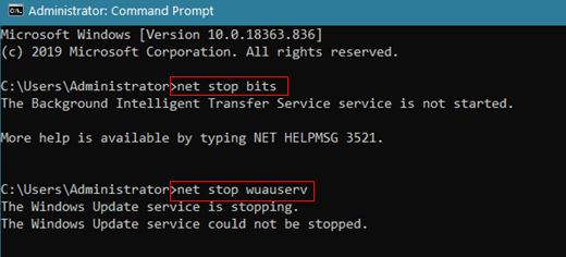 Execute net stop command