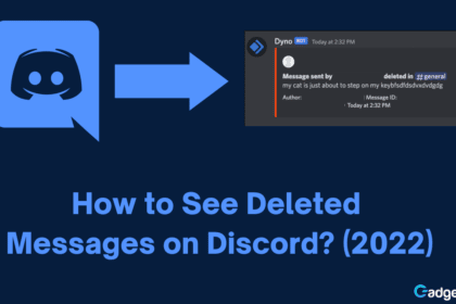 How To See Deleted Messages Discord Cover Image