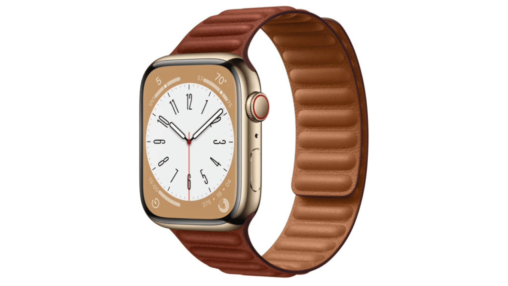 Leather Apple Watch Band